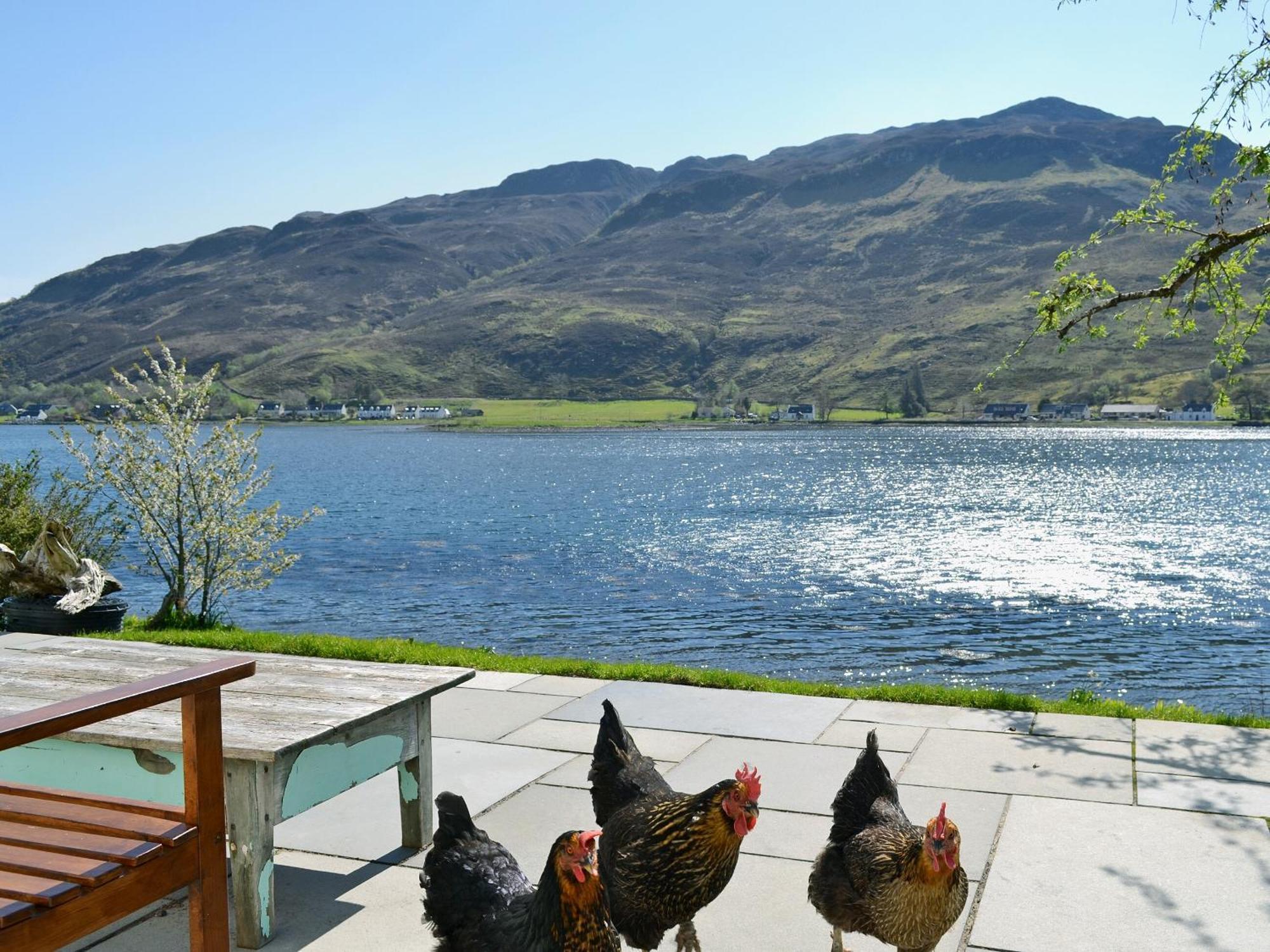 Loch Shore Cottage Dornie Esterno foto